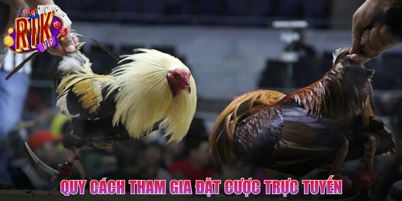 Quy cách tham gia đặt cược trực tuyến cho hội viên