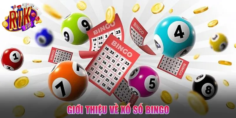 Thông tin sơ lược bạn cần nắm về xổ số Bingo