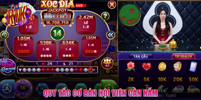 Nắm vững các thông tin quan trọng trong game